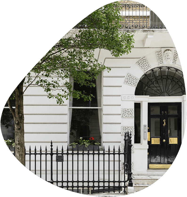 Ultrasound scan images on phone and tablet harley street ultrasound