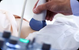 Kidney and Urinary Tract