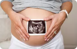 Anatomy / Anomaly Ultrasound | From 18 - 24 Weeks